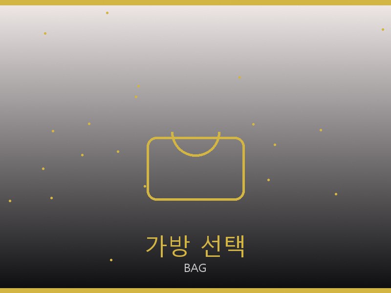 루이비통 캐리올 PM 레플 가방 선택 가이드