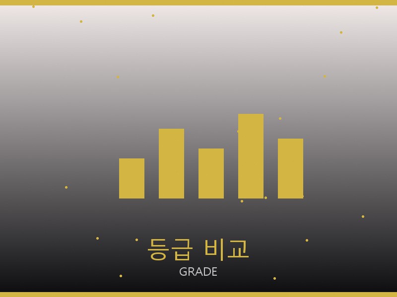 루이비통 캐리올 PM 레플 등급 기준 비교
